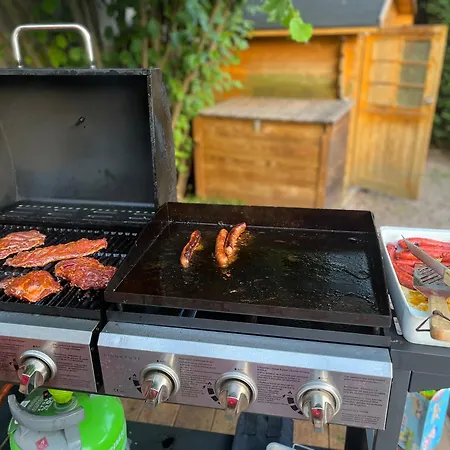 Avril 15 Pers- Location De Prestige , 2 Piscines Interieur Et Exterieur Et Sauna * Sélestat