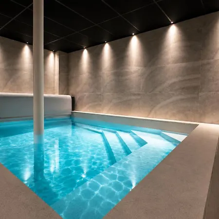 Avril Et De Luxe 15 Personnes Avec Piscine Chauffee Toute L'annee * Sélestat